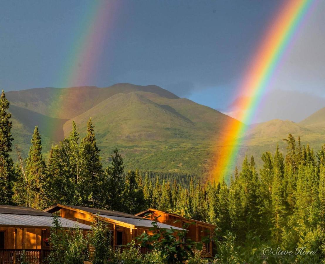 Mckinley Creekside Cabins Denali Park Kültér fotó